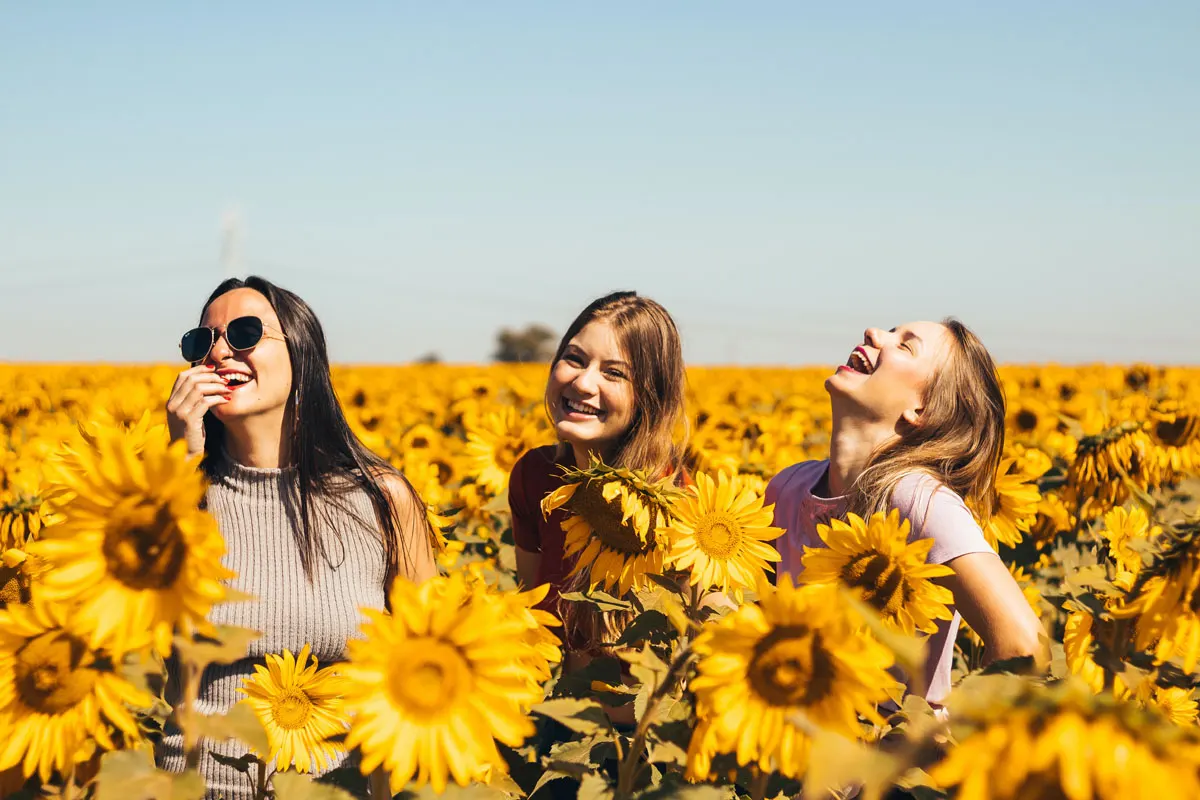 Friends laughing in a sunflower field