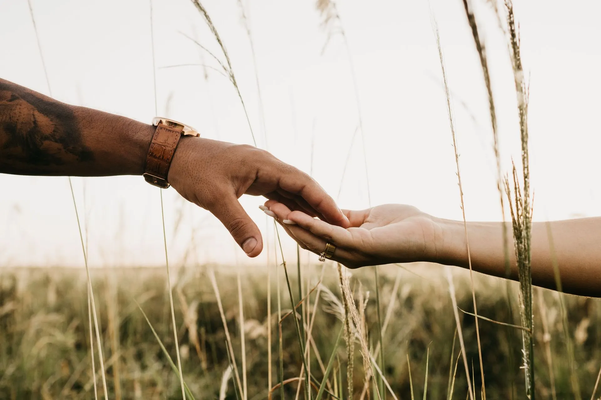 Two hands reaching toward each other in tall grass